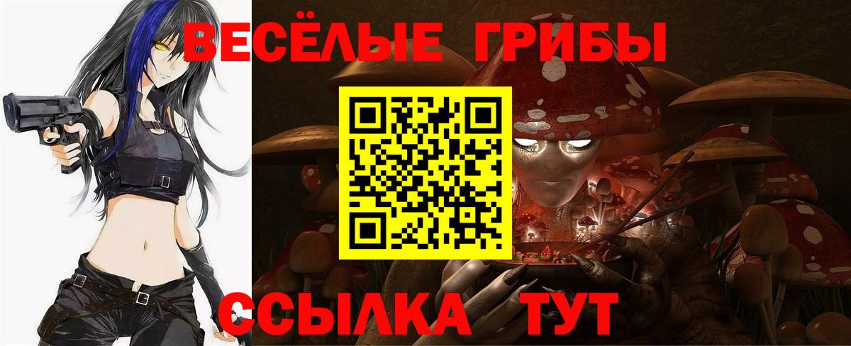 Галлюциногенные грибы Cubensis  Вход с VPN  продажа наркотиков  Бийск 